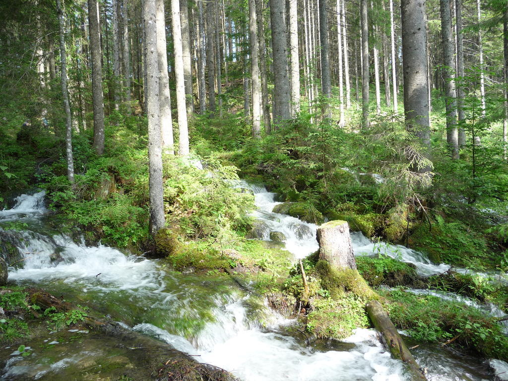 Gaestehaus Kuehnle Pichl bei Aussee Esterno foto